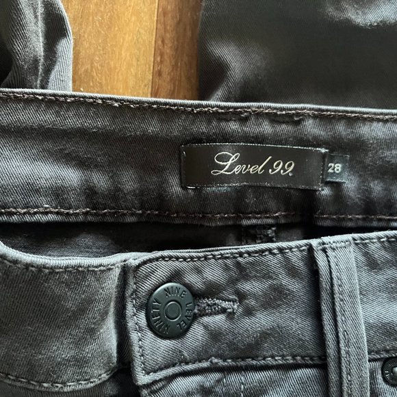 Level 99 Pants - Picture 4 of 4